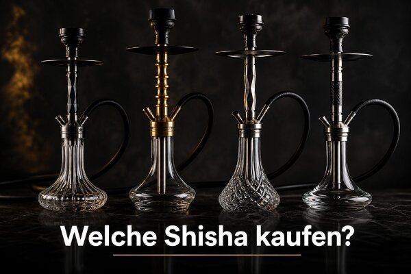 Welche Shisha kaufen? Die Kaufberatung aus unserem Laden in Frankfurt - Welche Shisha kaufen? Kaufberatung mit Fokus auf russische Marken | Smoking Bljad