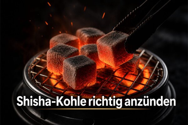 Shisha-Kohle: richtig anzünden, richtig auswählen - Shisha-Kohle richtig anzünden: Anleitung & Kohle-Kunde | Smoking Bljad