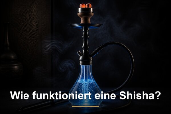 Wie funktioniert eine Shisha? Aufbau und Funktionsweise einfach erklärt - Wie funktioniert eine Shisha? Erklärt | Smoking Bljad