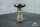 Ocean Hookah Sixty8 Phunnel Brown