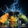 True Passion Tobacco Okorange 200g
