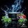 Must H Tobacco Frosty 125g