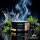 Must H Tobacco Black Crrt 200g