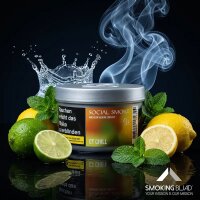 Social Smoke Tobacco CT Chill 200g