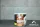 Hookain Tobacco Granny Pump 100g
