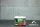 Craftium Shisha Tabak Blckberree 100g