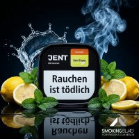Jent Tobacco Classic Line Saint Tropez 200g